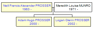 Mini tree diagram