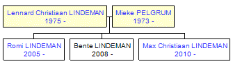 Mini tree diagram