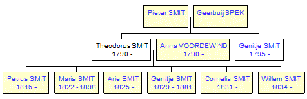 Mini tree diagram