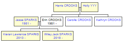 Mini tree diagram