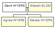 Mini tree diagram