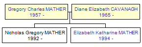 Mini tree diagram