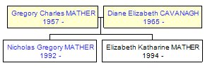 Mini tree diagram