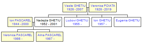 Mini tree diagram