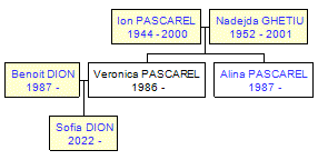 Mini tree diagram