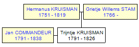 Mini tree diagram