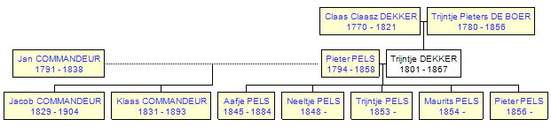 Mini tree diagram