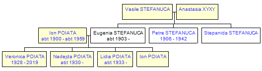 Mini tree diagram