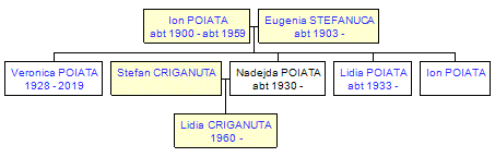 Mini tree diagram