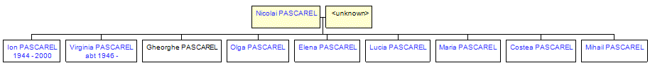 Mini tree diagram