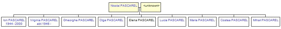 Mini tree diagram