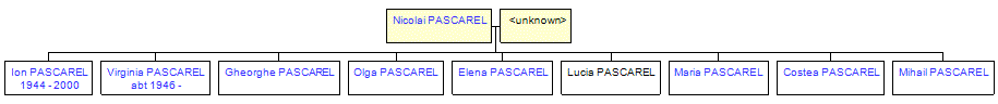 Mini tree diagram