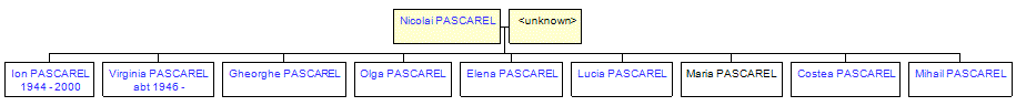 Mini tree diagram