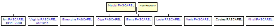 Mini tree diagram