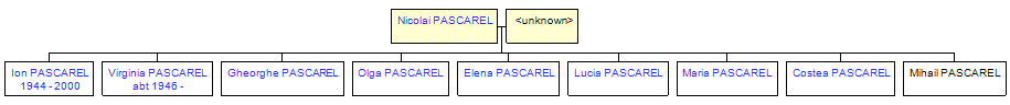 Mini tree diagram