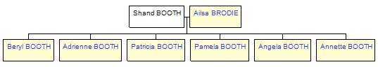 Mini tree diagram