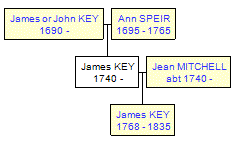 Mini tree diagram