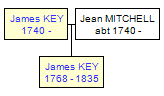 Mini tree diagram