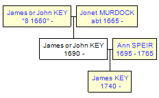 Mini tree diagram