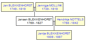 Mini tree diagram