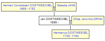 Mini tree diagram