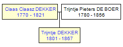 Mini tree diagram