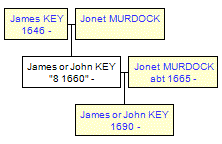 Mini tree diagram