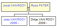 Mini tree diagram