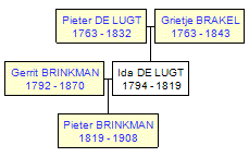 Mini tree diagram