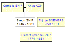 Mini tree diagram