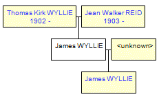 Mini tree diagram