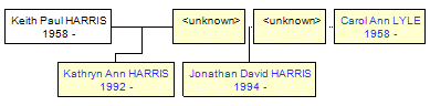 Mini tree diagram