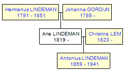 Mini tree diagram