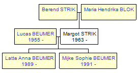 Mini tree diagram