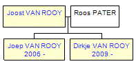 Mini tree diagram